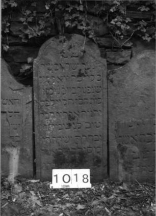 Grabstein 1018 (Index: 99630521) Material: Sandstein Zustand: verwittert, abgeblättert, Textverlust Maße HxBxT: 91x44x9 cm Beschreibung: Stele mit eingezogenem Segmentbogenabschluß: Grabstein 1018