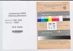 Entnazifizierung Walter Wolf, geb. 17.02.1905 (Anstreicher)