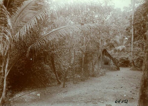 "House and homestead. Atchin."