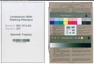 Entnazifizierung Friedrich Steinhoff , geb. 19.02.1898 (Automechaniker)