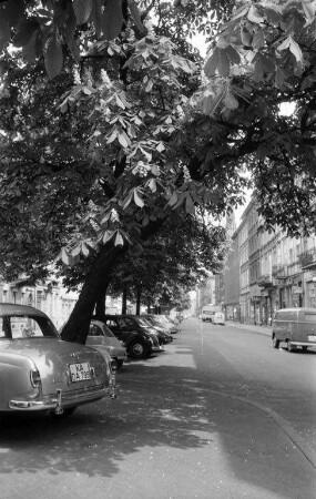 Werderstraße in der Südstadt.