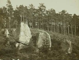 Lausitzer Gebirge. Pfaffenstein (Popova skála, 565 m) östlich Lückendorf. Sandsteinfelsen mit eisenhaltigen Schichten (Eisenadern)