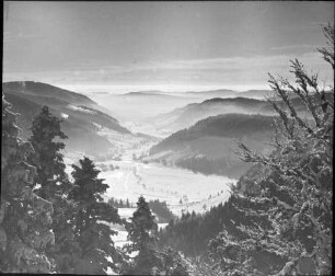 Blick auf Menzenschwand