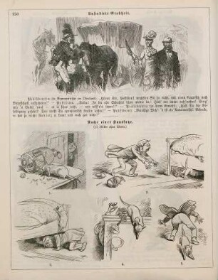 "Unstudirte Grobheit" "Rache einer Hauskatze"