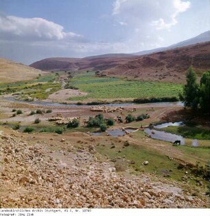 Israel: Samarisches Bergland