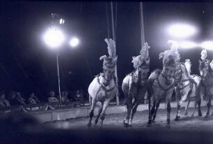 Petoletti-Dresseur - Circus Williams, ohne Ortsangabe, 1959