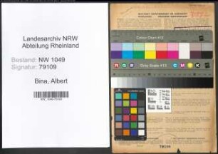 Entnazifizierung Albert Bina , geb. 06.02.1910 (Ingenieur)