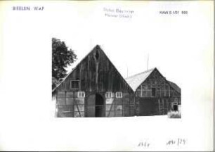 Beelen
