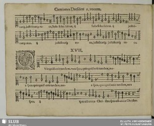 XVII. Quicquid erit tandem