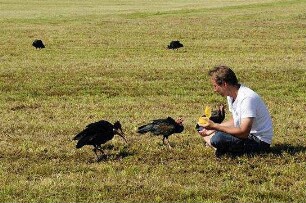 Birds and People - Ganz verrückt auf Vögel