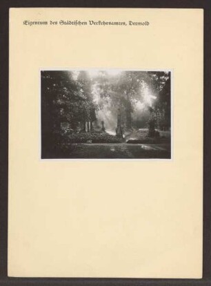 Weinbergfriedhof. Detmold. Weinbergstraße, heute Paulinenstraße. Sammlung Pecher