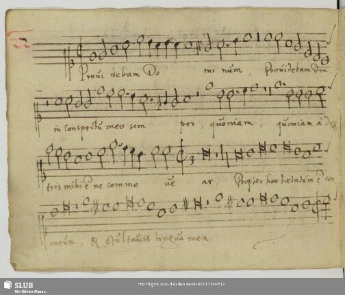 Gallus, Iacobus: Providebam Dominum