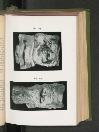 Fig. 104. Fig. 105.