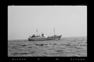 Condor (1954), Frachtschiff, Cimbria Reederei AG, Lübeck, Bau-Nr. 567