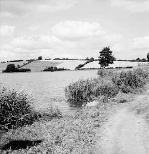 Moorteich mit Schilfsaum: im Hintergrund Knicklandschaft