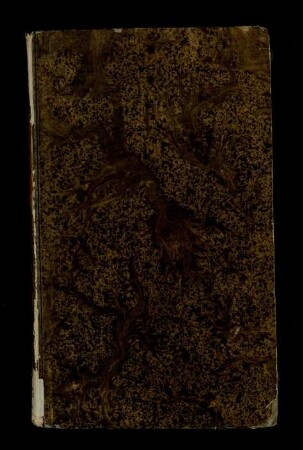Codex inscriptionum romanarum Rheni / Theil 2