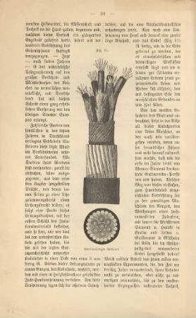 Fig. 11. Siebenaderiges Erdkabel