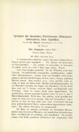 Synopsis der deutschen Blindwanzen (Hemiptera heteroptera, Fam. Casidae). VI. Theil