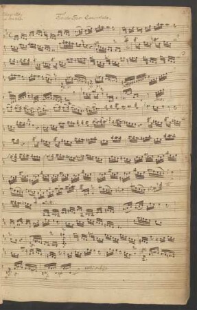 Flauto traverso concertato