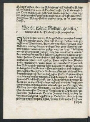 Wie vil König Soldan gewesen/ dieweyl ich in der Heydenschafft gewesen bin.
