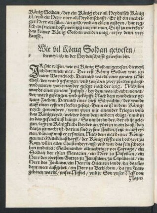 Wie vil König Soldan gewesen/ dieweyl ich in der Heydenschafft gewesen bin.