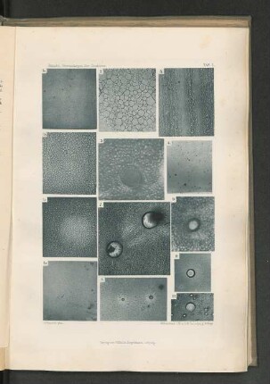 1b.