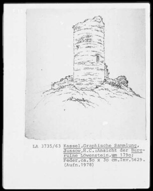 westliche Ansicht der Burgruine Löwenstein