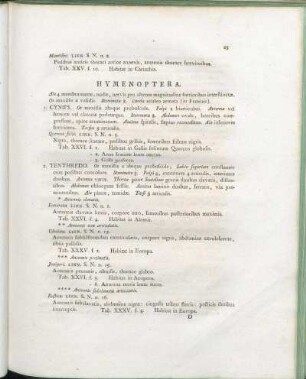 Hymenoptera.