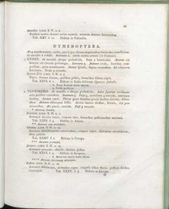 Hymenoptera.