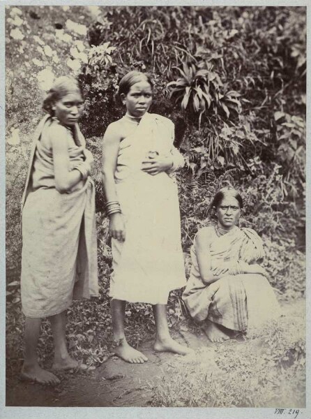 Portrait of three women