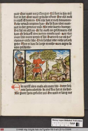 Vom Wolf und dem Fuchs.