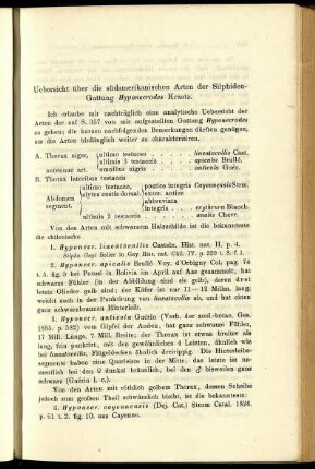 Uebersicht über die südamerikanischen Arten der Silphiden-Gattung Hyponecrodes Kraatz
