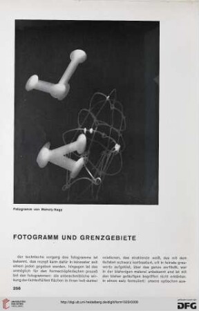 4: Fotogramm und Grenzgebiete