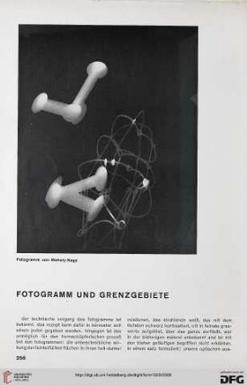 4: Fotogramm und Grenzgebiete