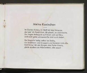 Meine Kaninchen