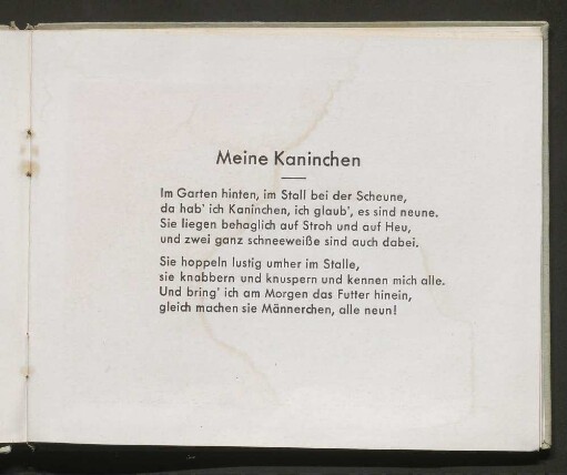 Meine Kaninchen