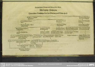 Die funfzehente Stamm- und Verwandnis-Tafel. Mit Lignitz, Hertzogen