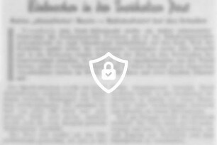 Einbrecher in der Treuholzer Post