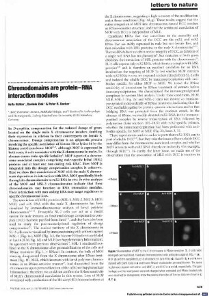 Chromodomains are protein-RNA interaction modules