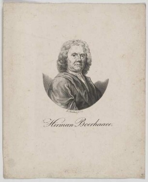 Bildnis des Herman Boerhaave