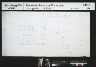 Grubenfeld von Wilder Mann (Wildermann) Fundgrube bei Johanngeorgenstadt
