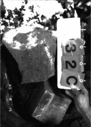 Grabstein 32 (Index: 100105607) Material: Sandstein Zustand: zerbrochene Fragmente Beschreibung: Fragmente verschiedener Stelen Besonderheit: die Fragmente stammen von verschiedenen Stelen und liegen auf einem Haufen: Grabstein 32C