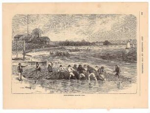 The Progress of our Fisheries: S. 504: Shad-Fisheries, Atlantic Coast