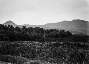 Landschaft aus Sumatra : Landschaft auf Sumatra. Bewaldete Berge.