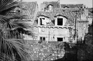 Dubrovnik: Rundgang auf der Stadtmauer, Mansarde und Palme