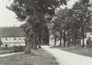 Graupa (Pirna-Graupa). Lindenallee mit Gasthaus Neu-Graupa