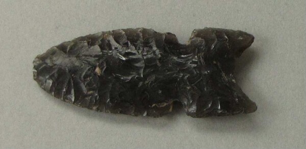 Arrowhead made from obsidian