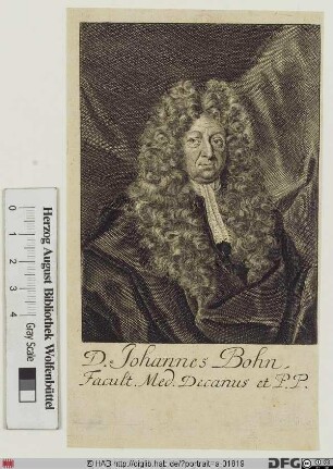 Bildnis Johannes Bohn