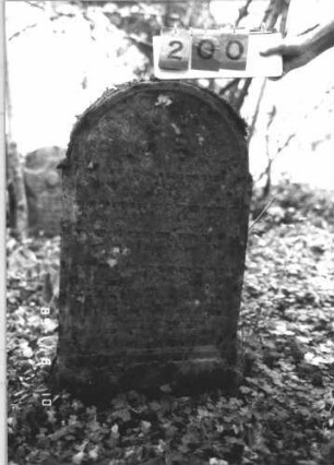 Grabstein 200 (Index: 99800020) Material: Sandstein Zustand: verwittert, angeschlagen Maße HxBxT: 98x51x12 cm Beschreibung: Stele, Rundbogenabschluß, Schriftfeld eingetieft: Grabstein 200 (1)