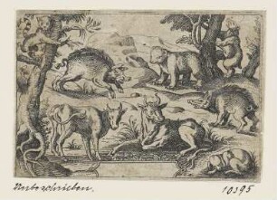 Ochsen, Wildschweine und Bären